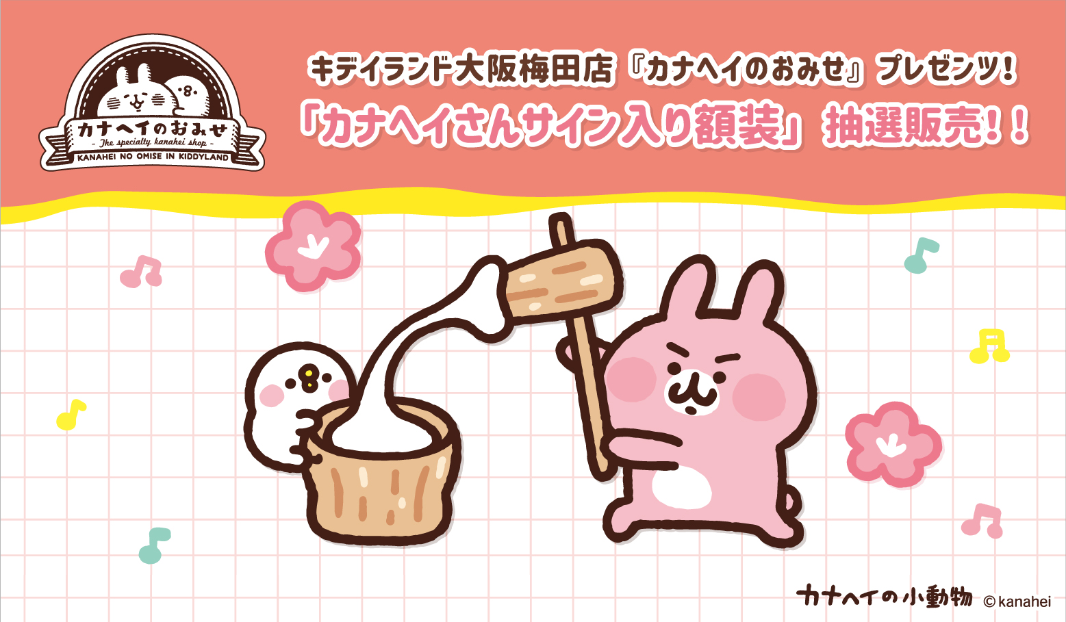 NEWS - カナヘイの小動物公式サイト